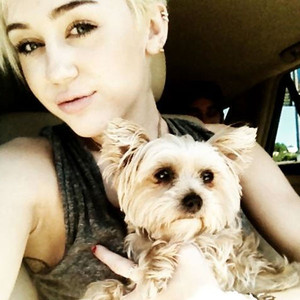 Miley Cyrus Miley Cyrus